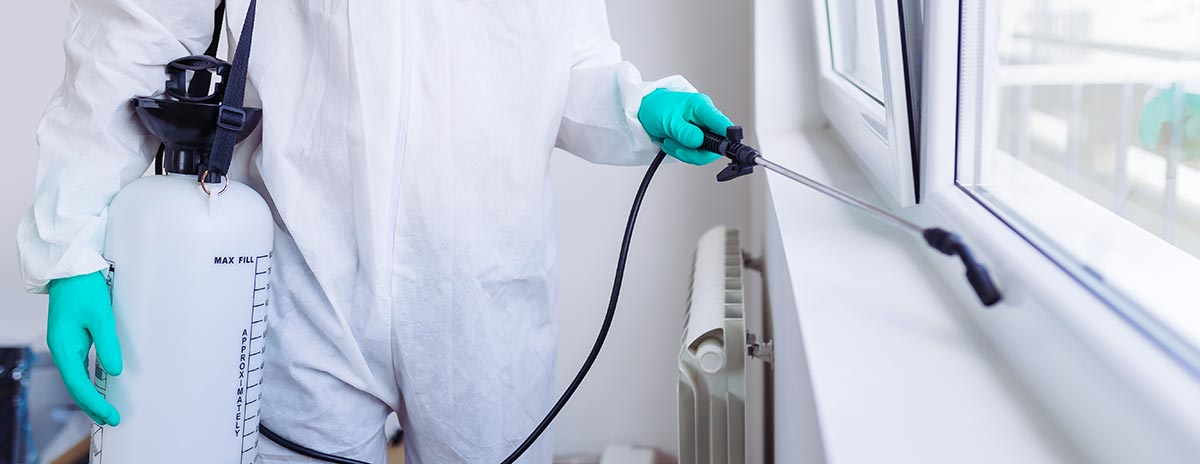 Commercial Pest Control in & around West London