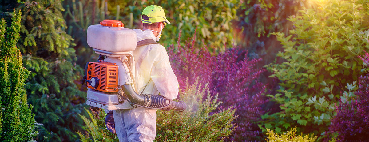 Cleaning & Sanitation Service in & around West London