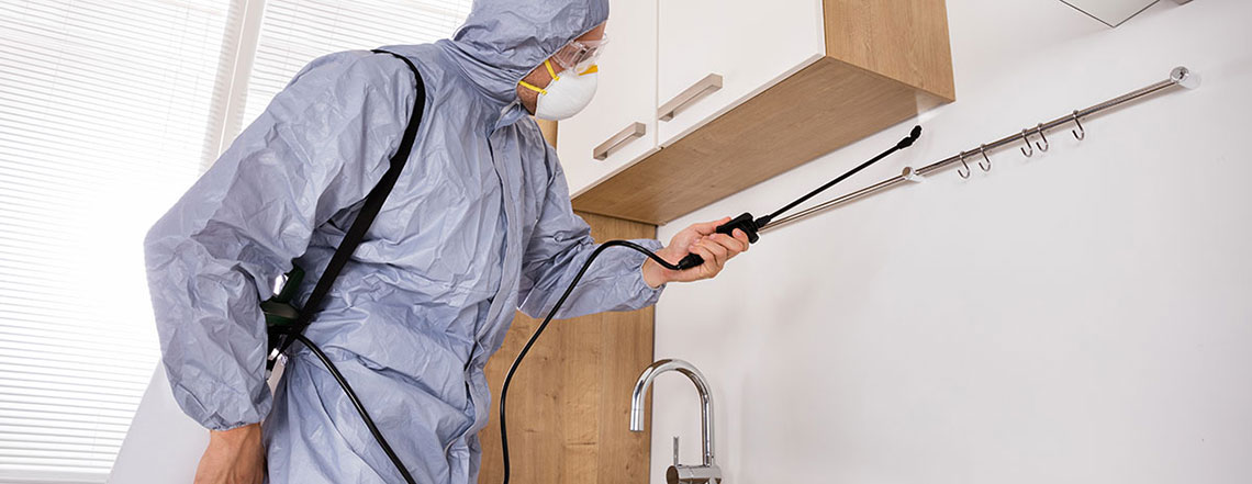 4 CLEANING & SANITATION METHODS WE USE: 4 CLEANING & SANITATION METHODS WE USE: